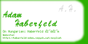 adam haberfeld business card